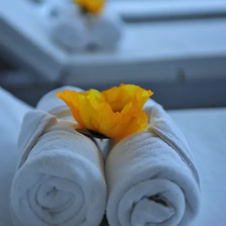 Axis Porto Business & Pedroucos (Porto)