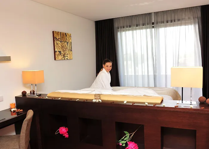 아시스 포르토 비즈니스 앤드 스파 Pedroucos (Porto)