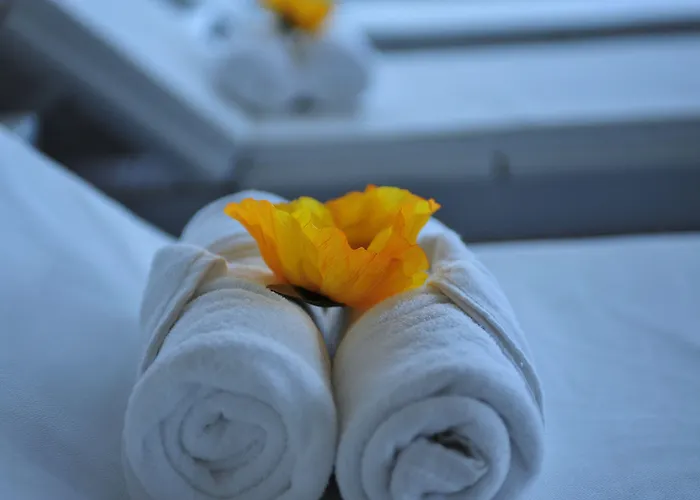 Axis Porto Business & Pedroucos (Porto)