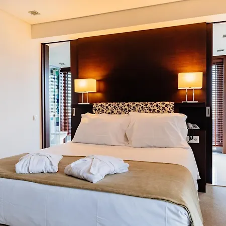 Axis Porto Business & Ξενοδοχείο Pedroucos (Porto)